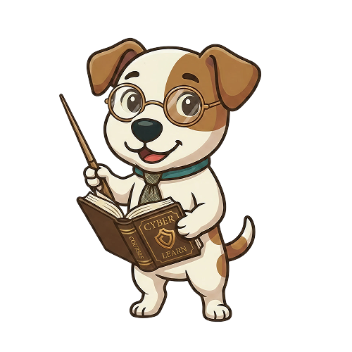 Rocket, la mascotte pédagogue d'Apocao
